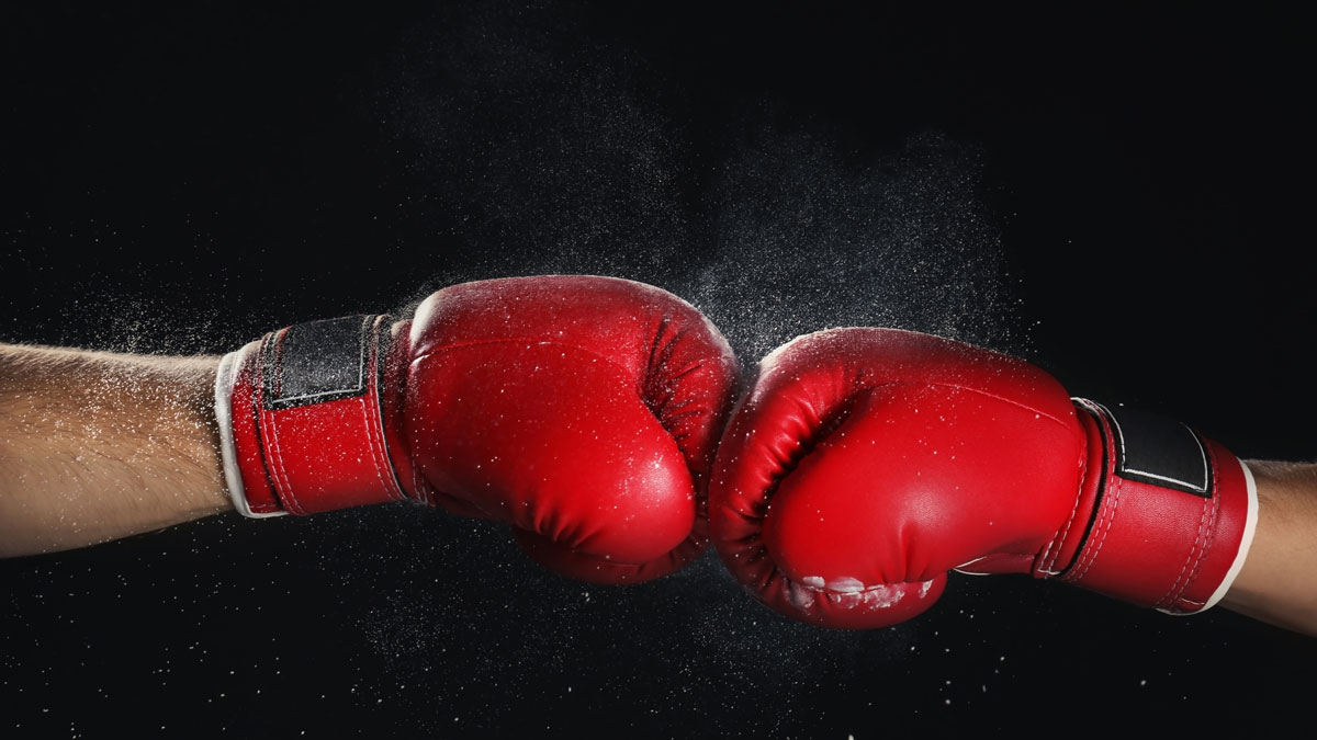 VBKOM Canada Steps into the Ring for a Knockout Cause