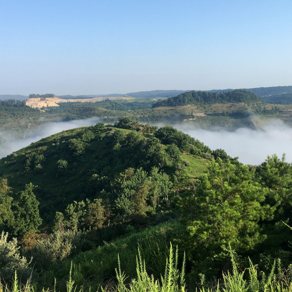 Lush green rolling hills covered in trees and fog, with a clear sky above and evidence of a reclaimed mine site or quarry in the distant background. The landscape symbolizes environmental sustainability, land stewardship, and ESG initiatives.